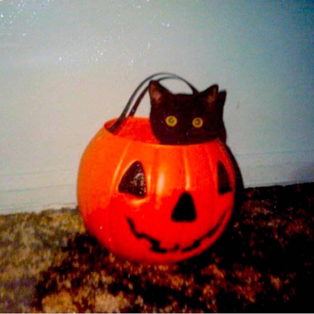 Meet your Posher, Angelique